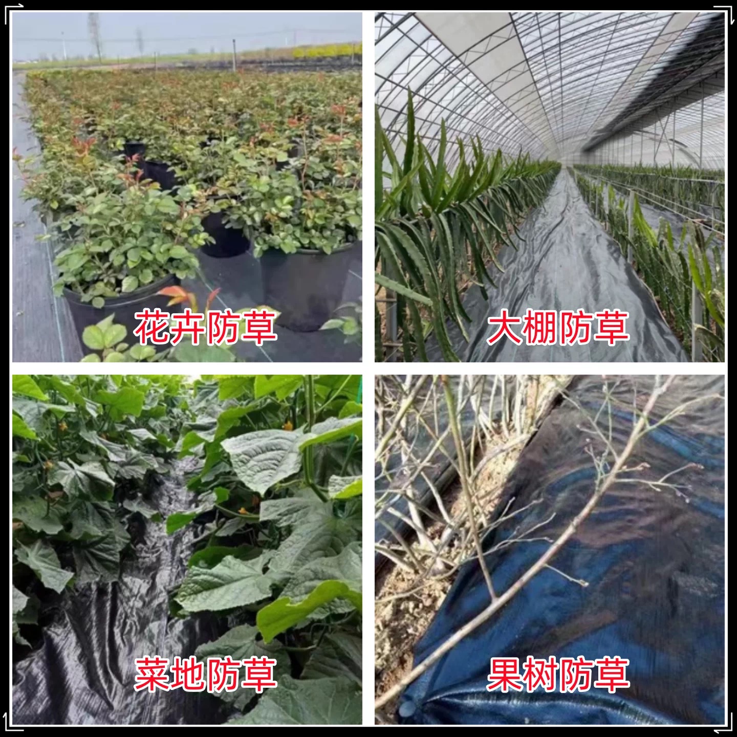 锦州市货车苫盖膜防草布 - 哪里好